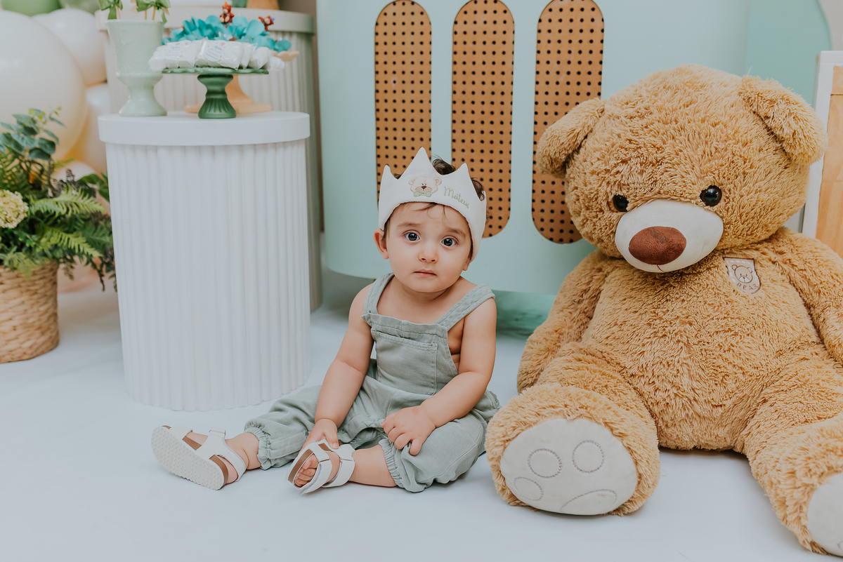 fotografia festa infantil 1 ano Mateus tema urso rio de janeiro fotografa família Niterói 