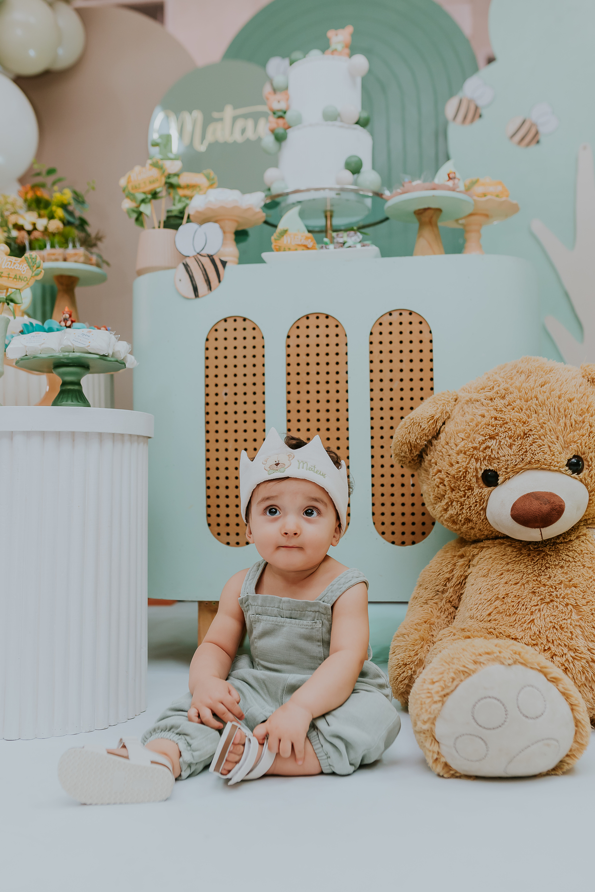 fotografia festa infantil 1 ano Mateus tema urso rio de janeiro fotografa família Niterói 