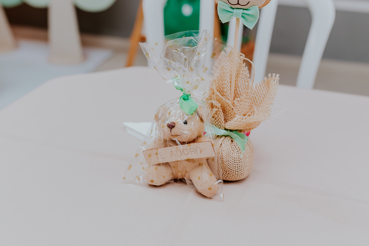 fotografia festa infantil 1 ano Mateus tema urso rio de janeiro fotografa família Niterói 