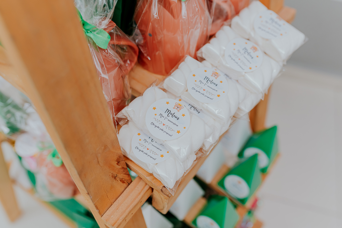 fotografia festa infantil 1 ano Mateus tema urso rio de janeiro fotografa família Niterói 