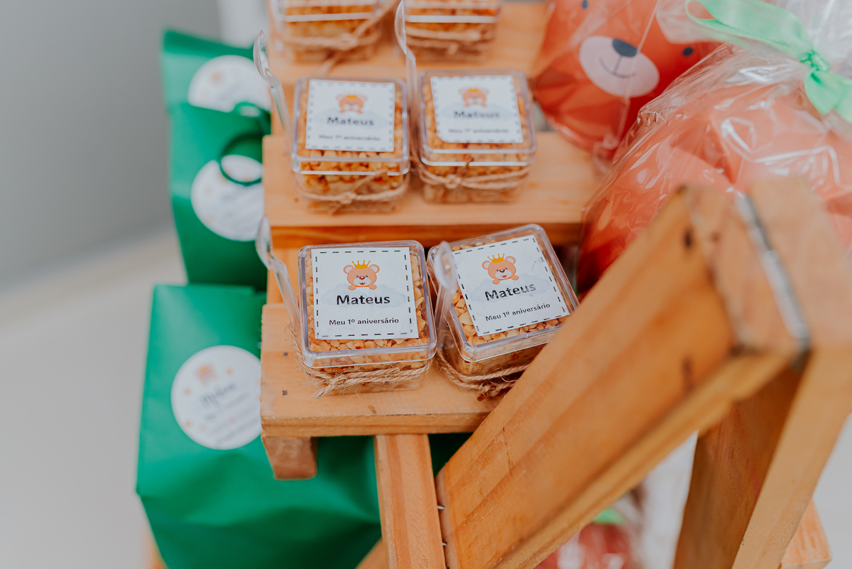 fotografia festa infantil 1 ano Mateus tema urso rio de janeiro fotografa família Niterói 