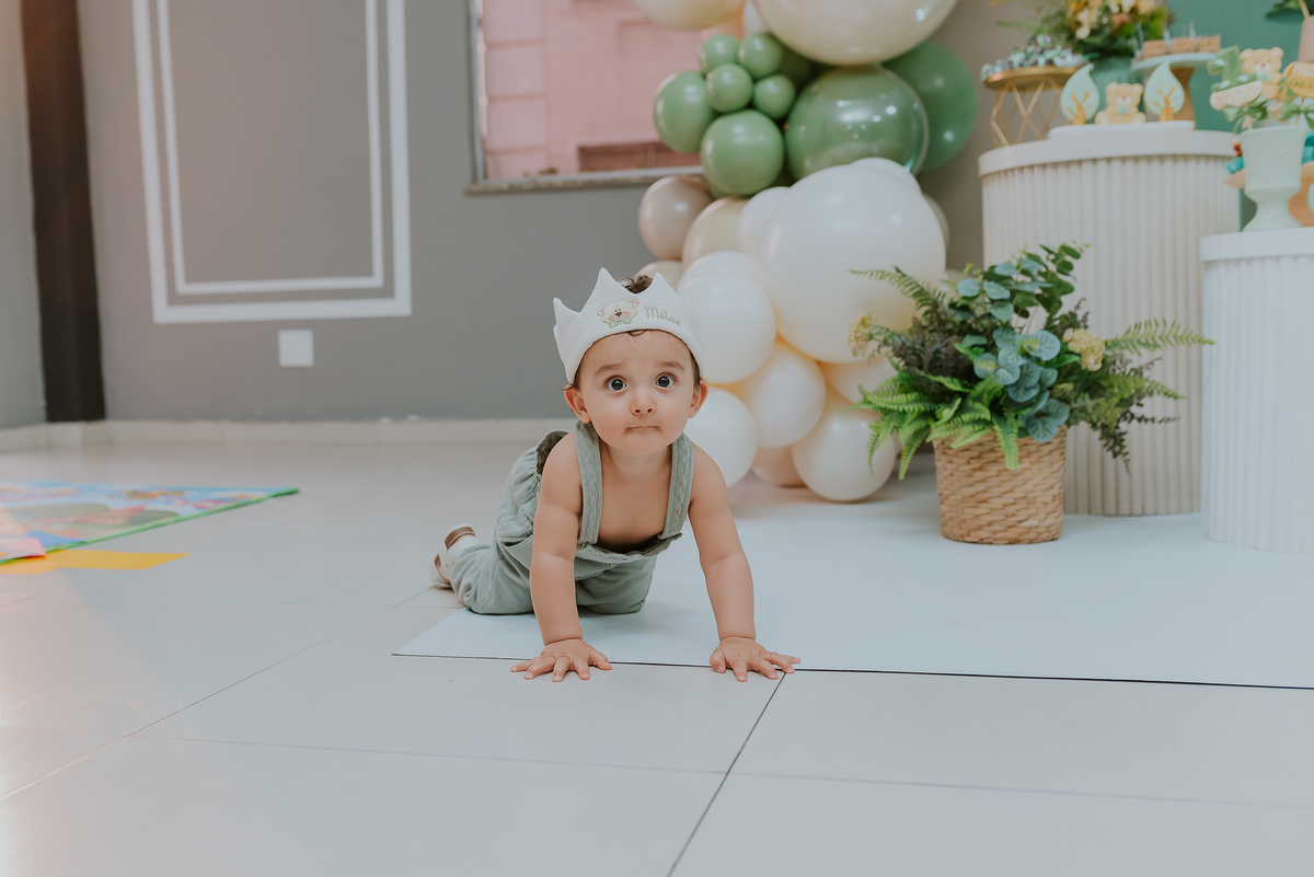 fotografia festa infantil 1 ano Mateus tema urso rio de janeiro fotografa família Niterói 
