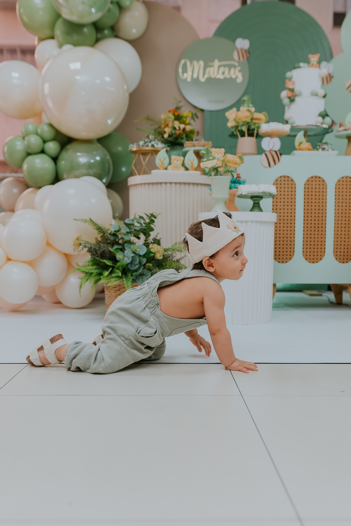 fotografia festa infantil 1 ano Mateus tema urso rio de janeiro fotografa família Niterói 