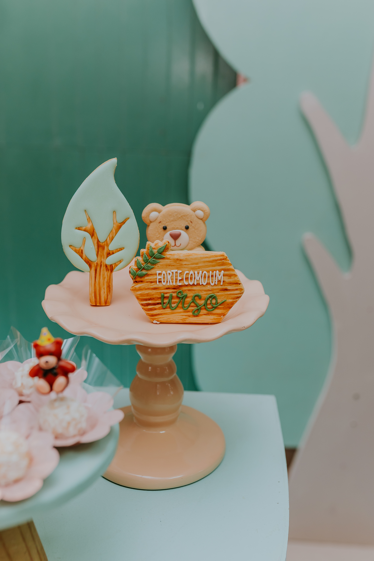 fotografia festa infantil 1 ano Mateus tema urso rio de janeiro fotografa família Niterói 