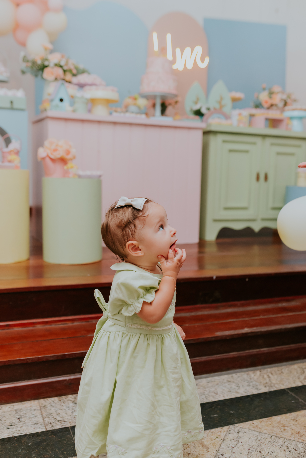 fotografia festa infantil fotografa familia rio de janeiro ilha do governador maria cecilia 1 ano 