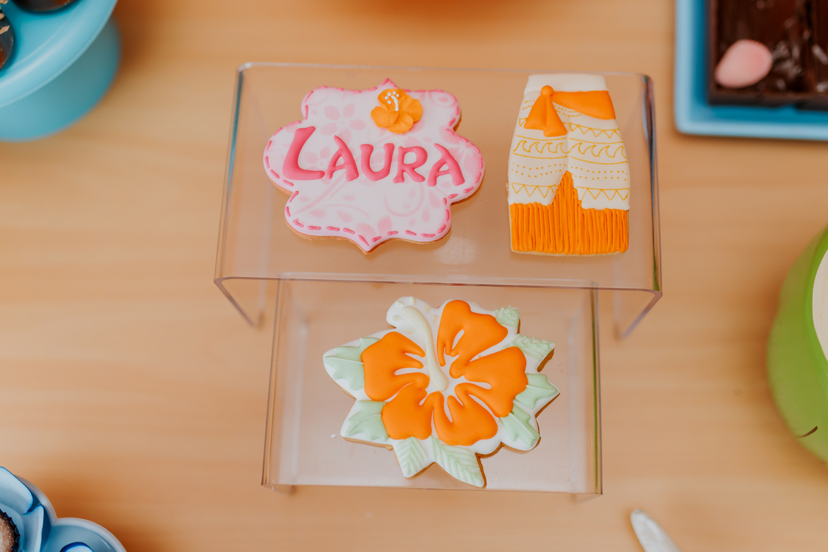 fotografia festa infantil fotografa familia 4 anos Laura tema Moana casa de festas espaço animania Botafogo Rio de Janeiro rj bruna guerson 