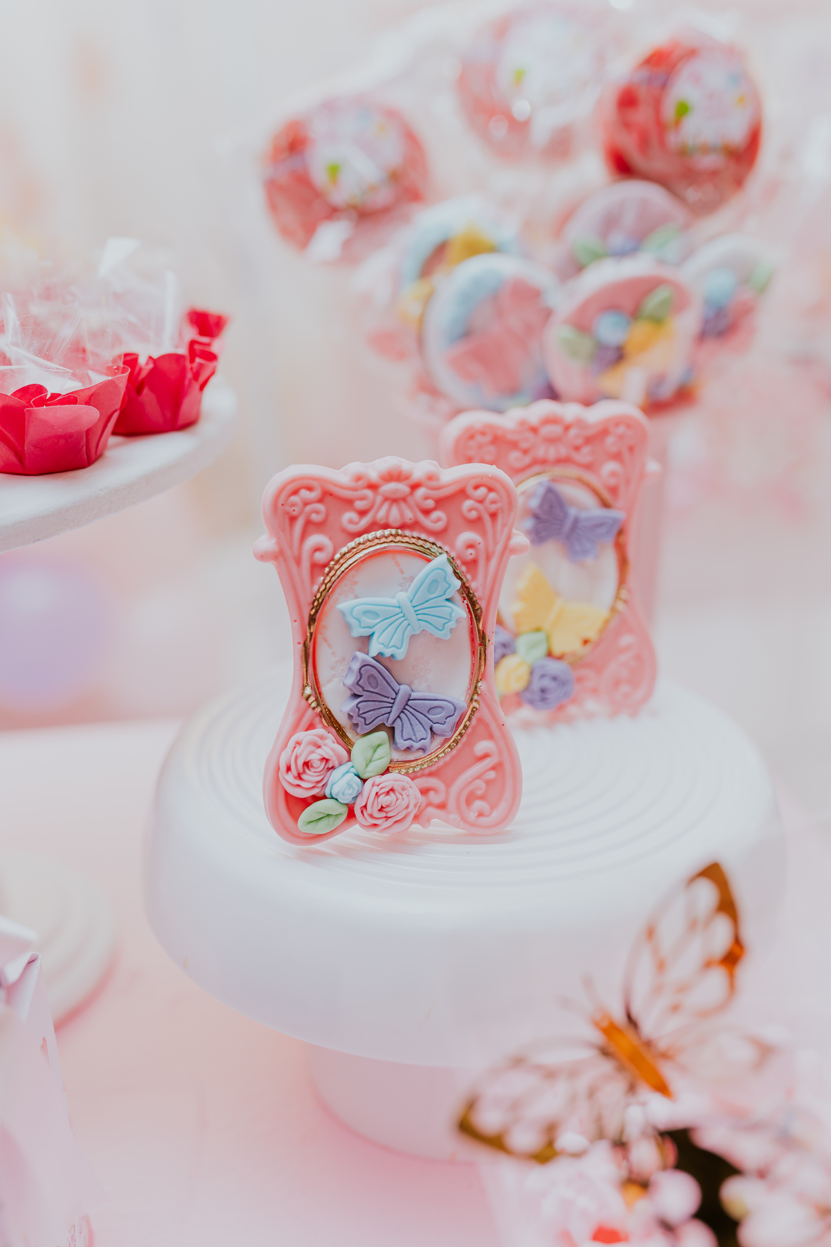 fotografa familia festa infantil 1 ano Elisa tema borboleta casa de festas estação faz de conta taquara Rio de Janeiro Jacarepaguá fotografia 