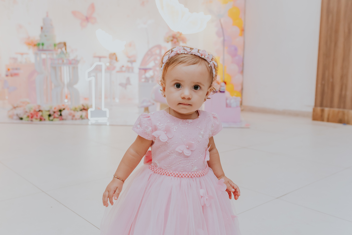 fotografa familia festa infantil 1 ano Elisa tema borboleta casa de festas estação faz de conta taquara Rio de Janeiro Jacarepaguá fotografia 