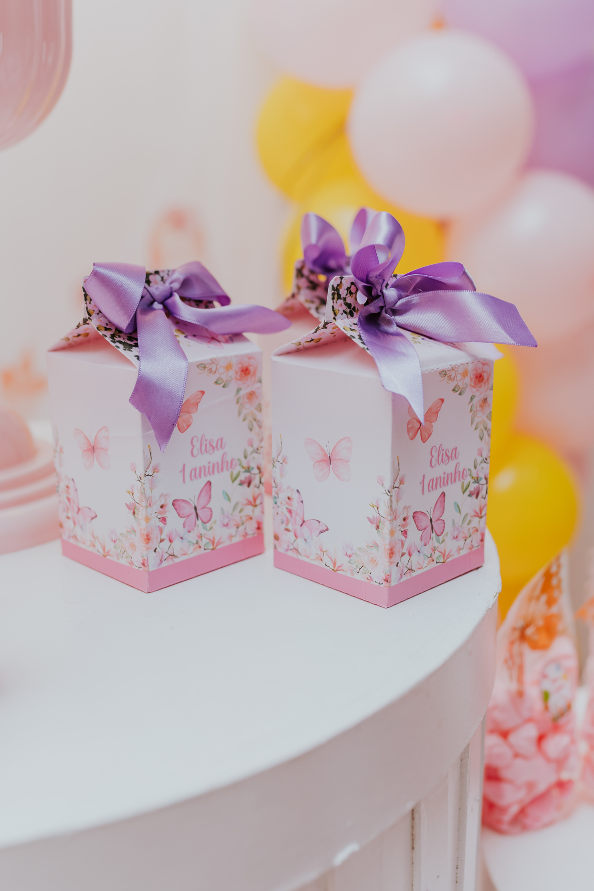 fotografa familia festa infantil 1 ano Elisa tema borboleta casa de festas estação faz de conta taquara Rio de Janeiro Jacarepaguá fotografia 