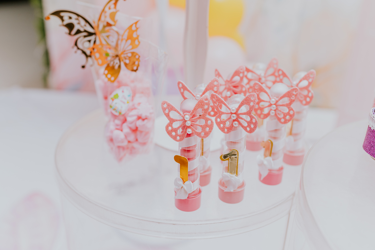 fotografa familia festa infantil 1 ano Elisa tema borboleta casa de festas estação faz de conta taquara Rio de Janeiro Jacarepaguá fotografia 