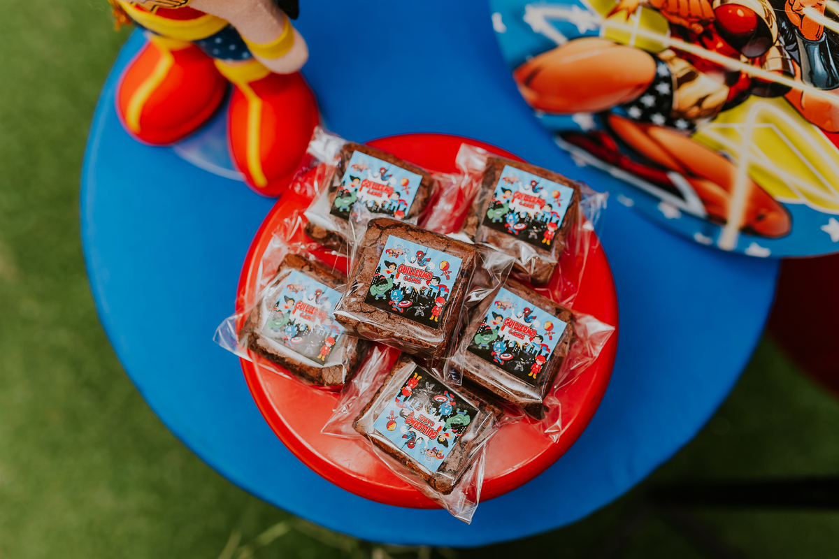 fotografia festa infantil fotografa familia 4 anos Guillermo tema super herois casa de festas espoleta Buffet botafogo rj rio de janeiro 