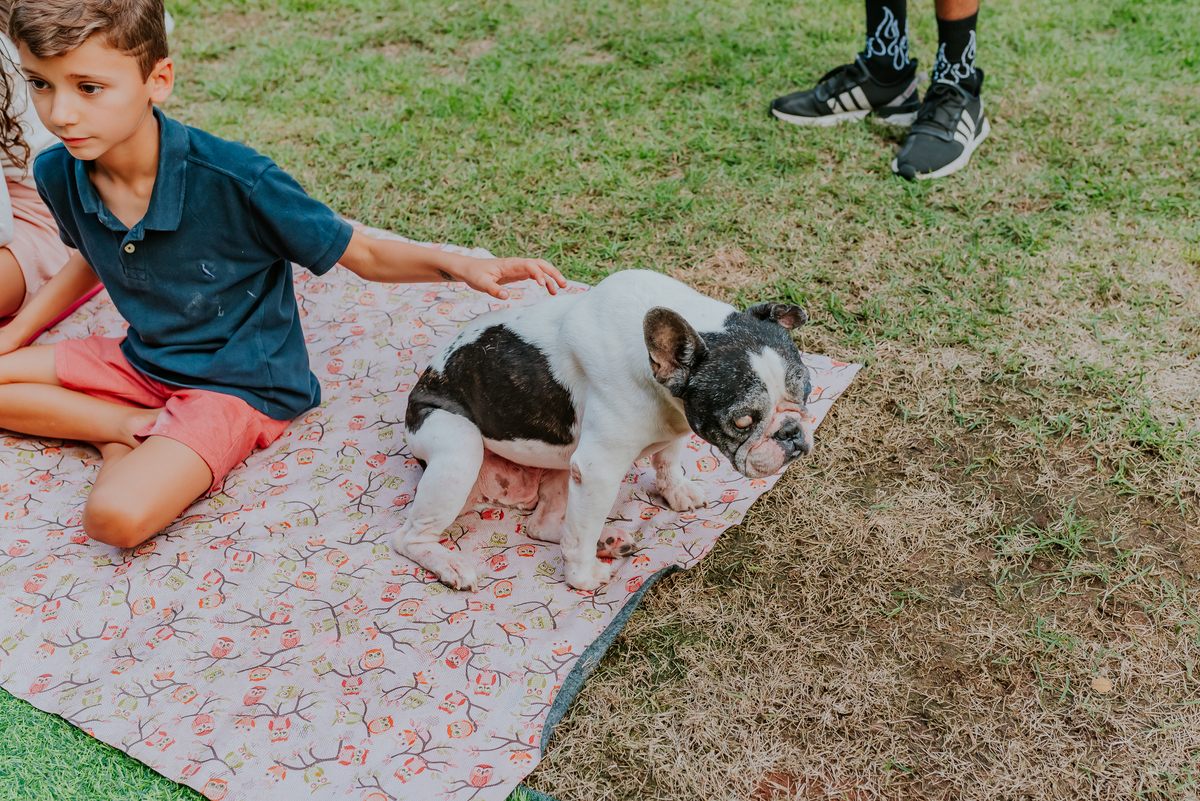 fotografa de familia festa infantil rio de janeiro rj barra da Tijuca Lara 2 anos decoracao tema Frozen 