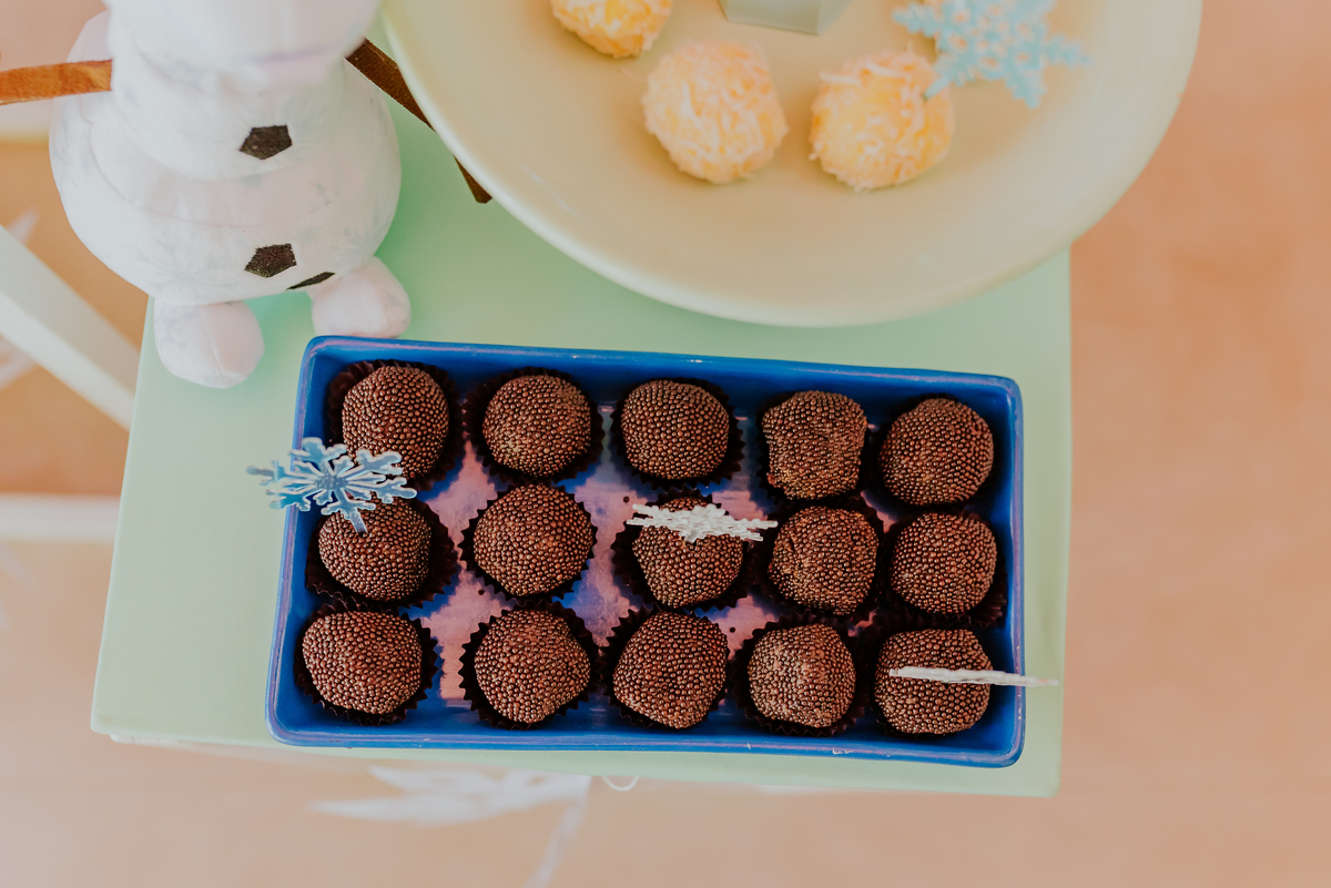 fotografa de familia festa infantil rio de janeiro rj barra da Tijuca Lara 2 anos decoracao tema Frozen 