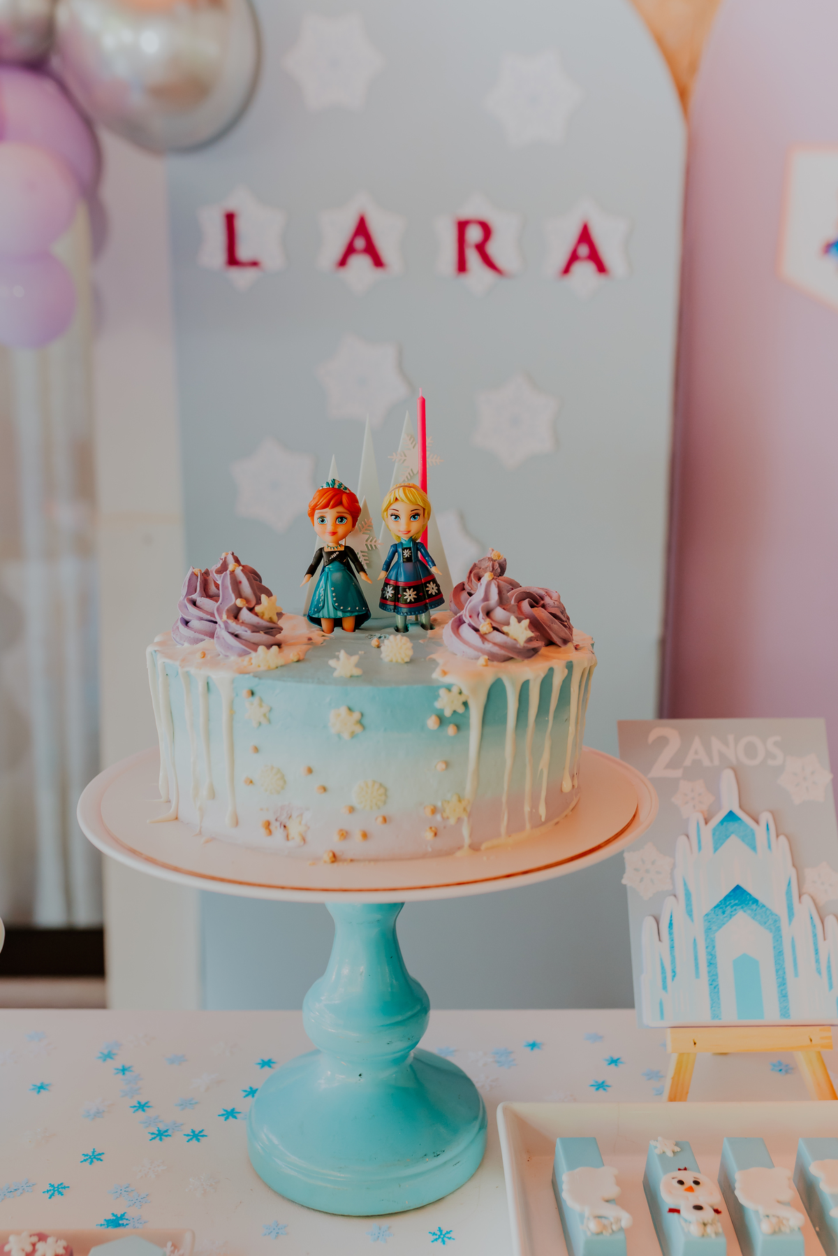 fotografa de familia festa infantil rio de janeiro rj barra da Tijuca Lara 2 anos decoracao tema Frozen 