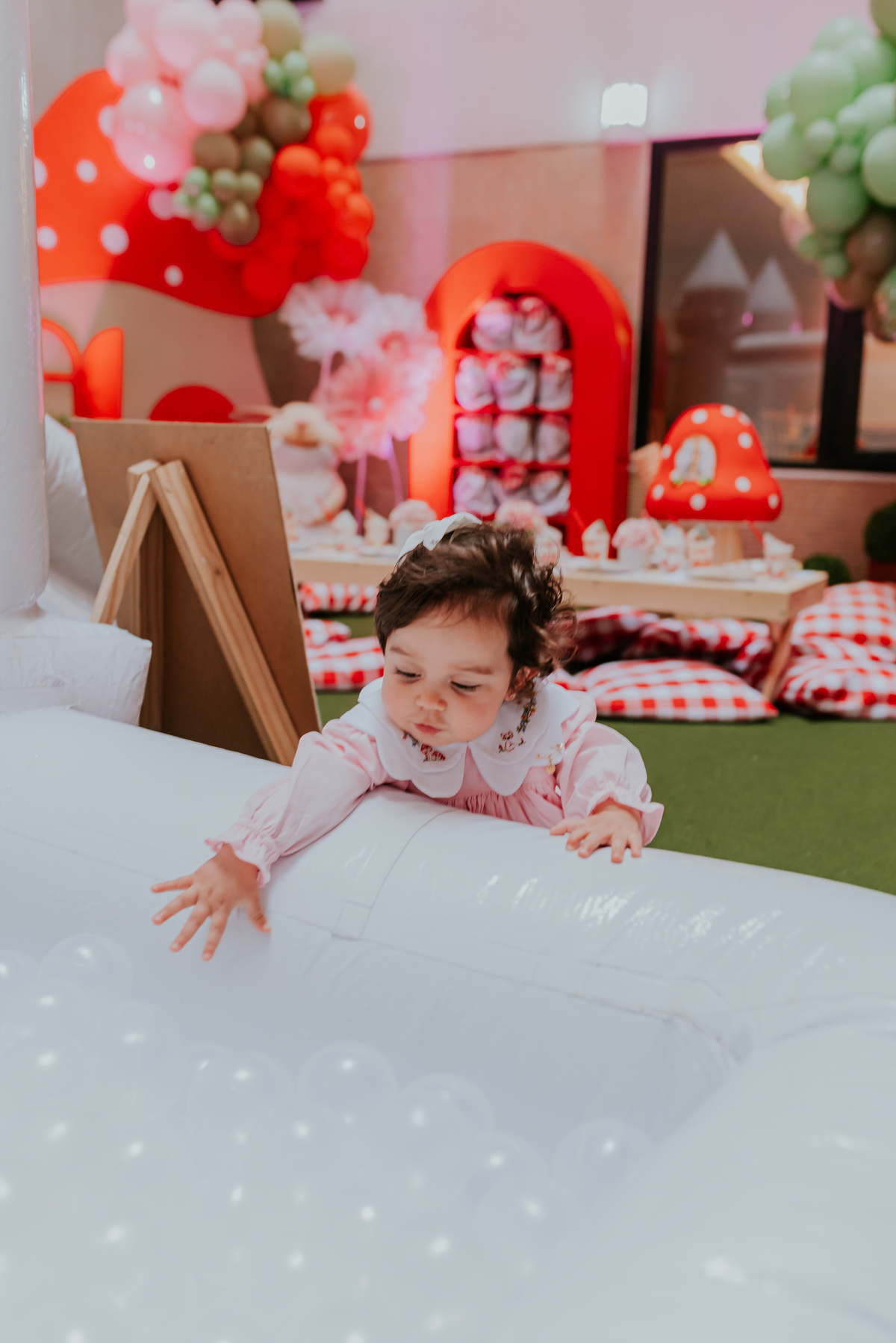 fotografa familia fotografia festa infantil rio de Janeiro rj 1 ano Cecilia tema bosque Icarai niteroi 