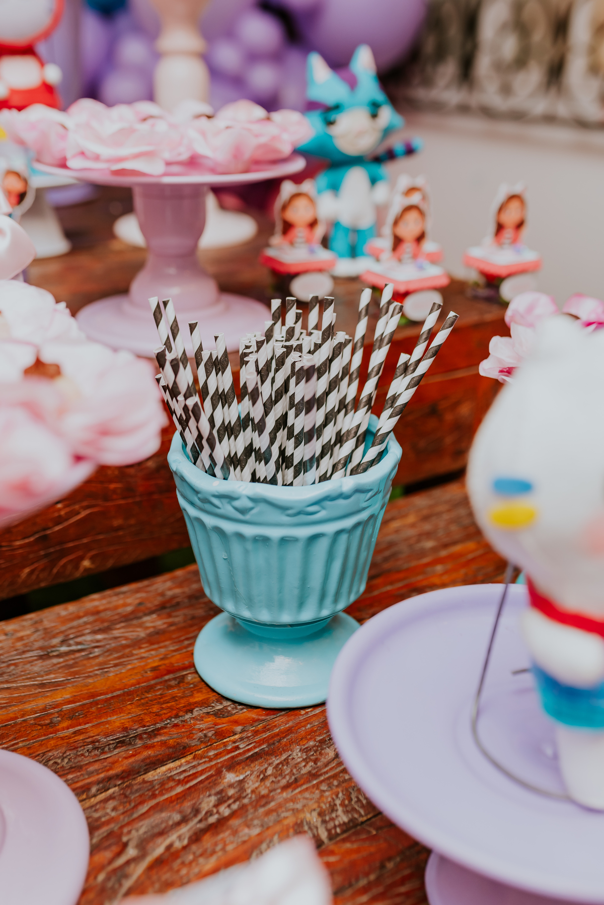 6 anos thais fotografa familia fotografia Tijuca vilarejo kids Rio de Janeiro rj festa infantil casa de festas 