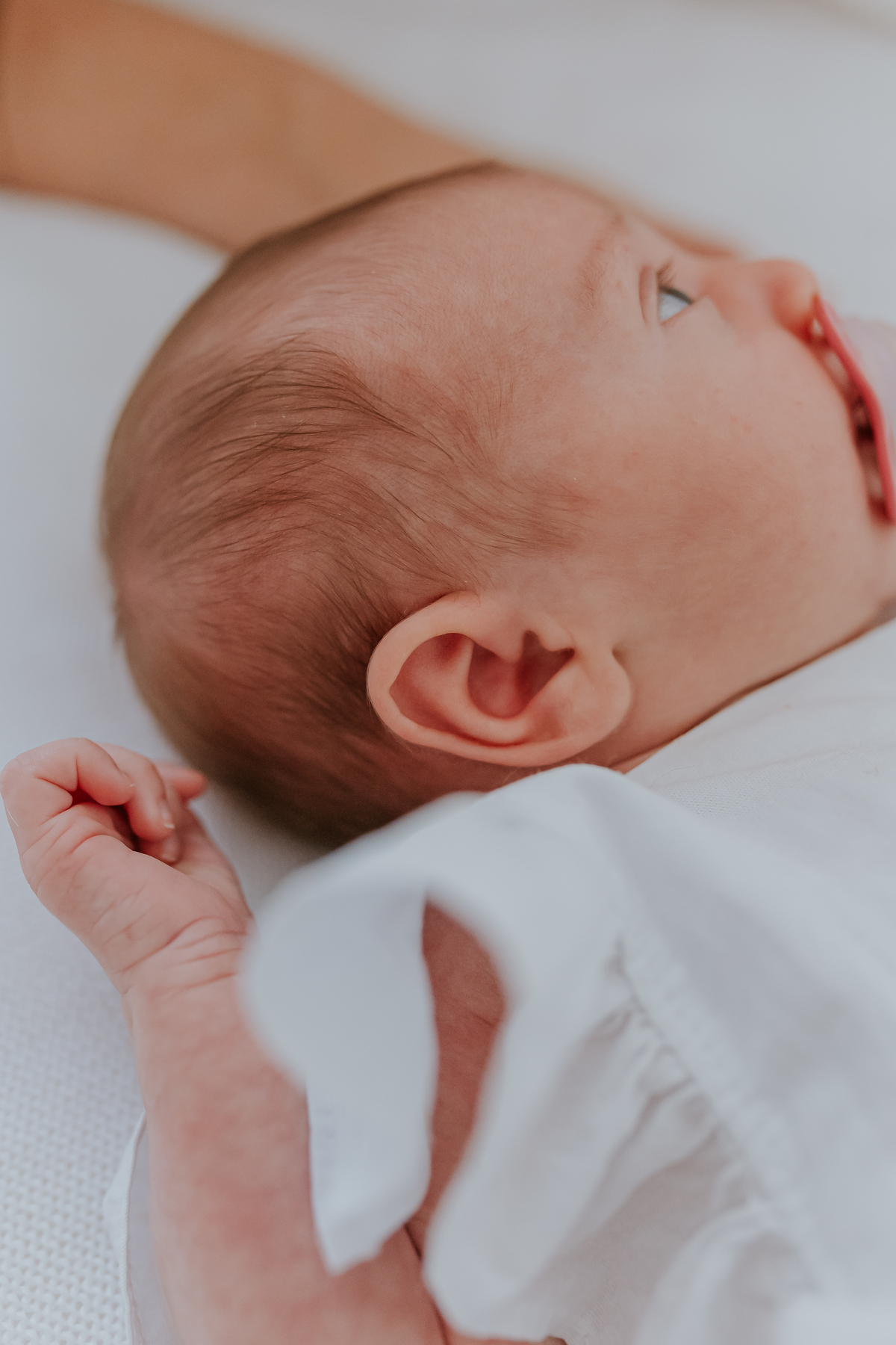 fotografia ensaio família em casa primeiros dias liz fotografa rio de janeiro rj acompanhamento trimestral 