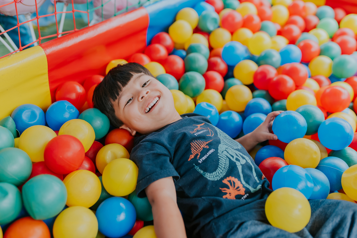 festa infantil fotografa de familias fotografia 1 ano isis rio de Janeiro rj ilha do governador tema fazendinha