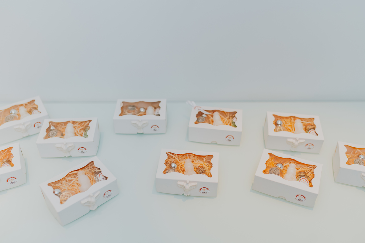 fotografia batizado batismo fotografa de familia Rio de Janeiro rj Capela Santa Ignez gavea Alice 