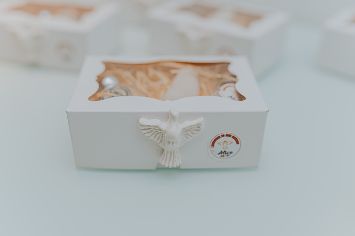 fotografia batizado batismo fotografa de familia Rio de Janeiro rj Capela Santa Ignez gavea Alice 