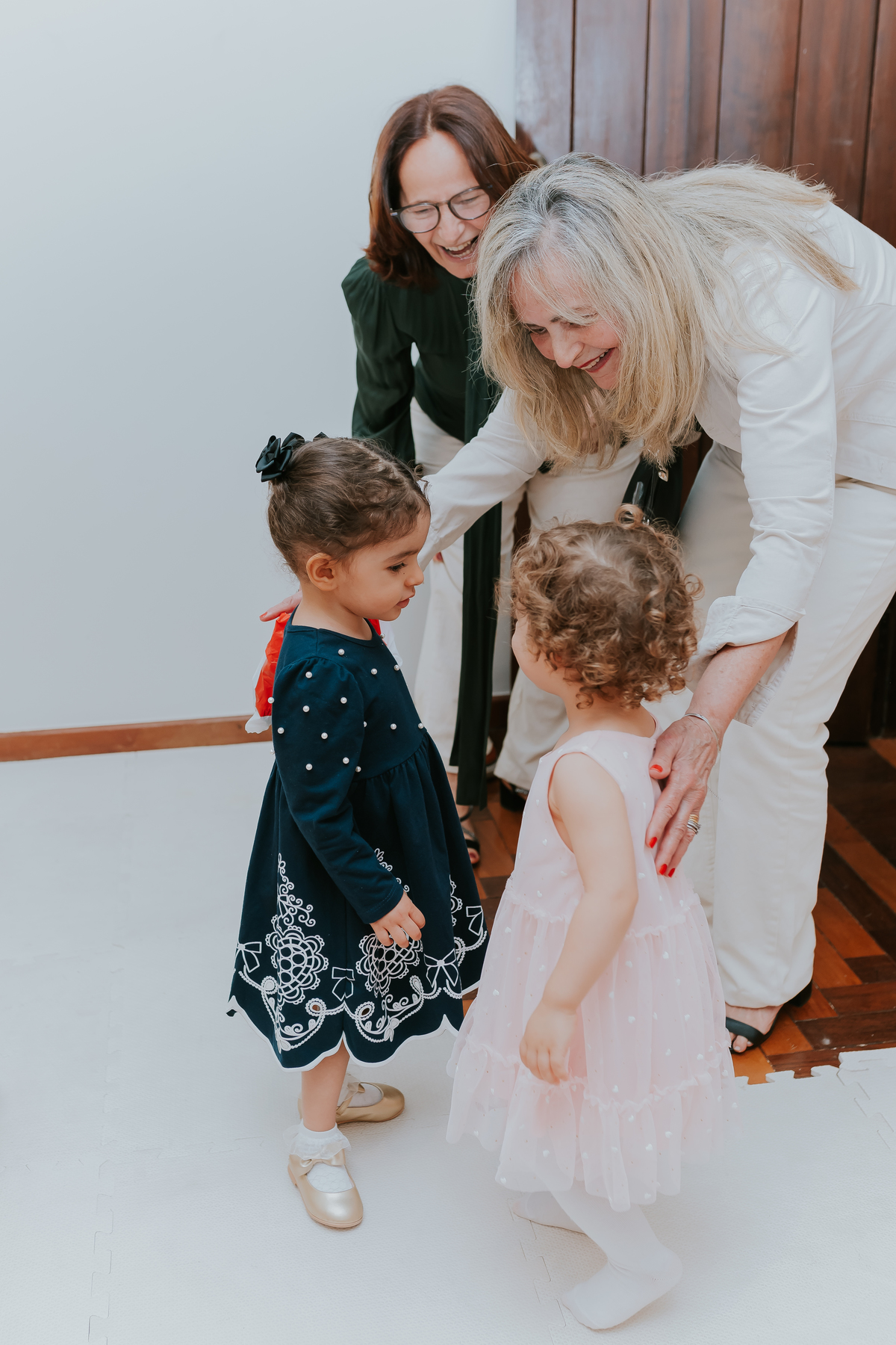 fotografa festa infantil fotografia 2 anos Luiza tema balairinha casa de festas o abacateiro Tijuca rj Rio de Janeiro 