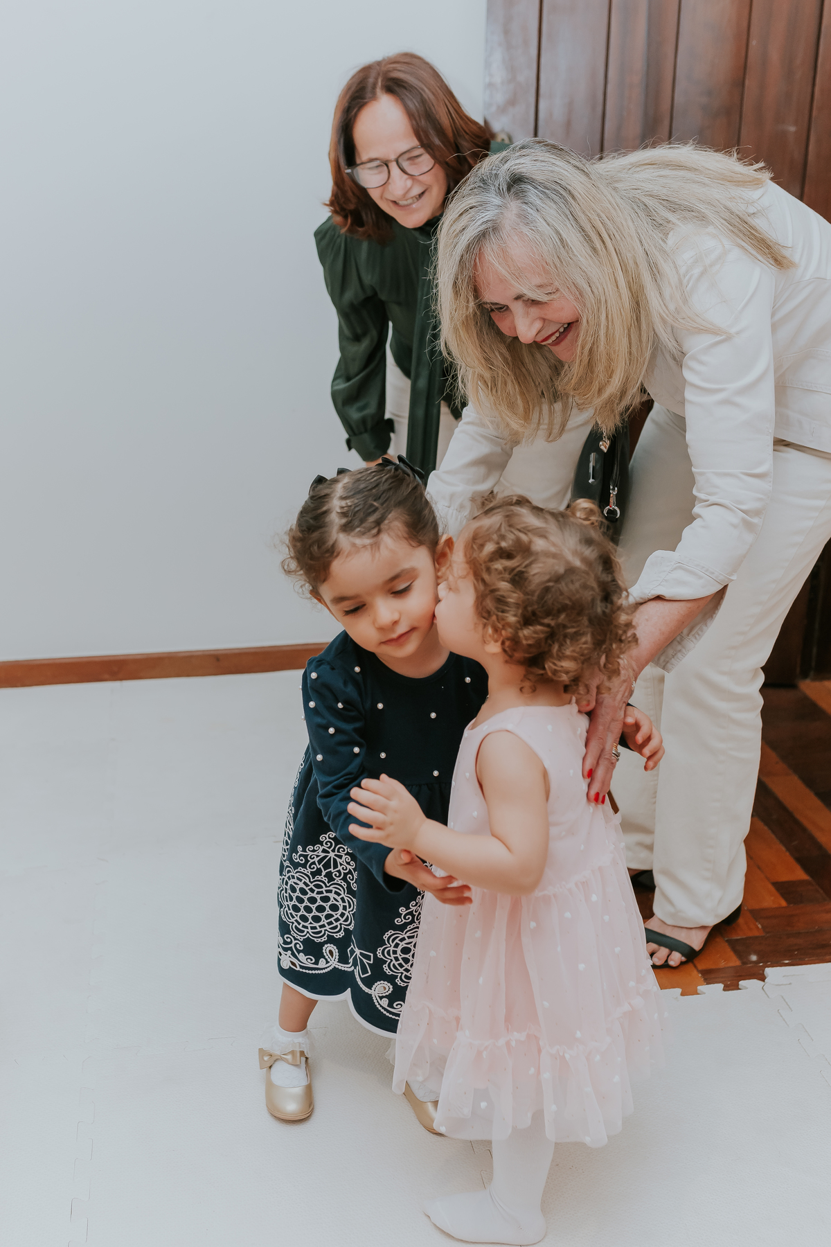 fotografa festa infantil fotografia 2 anos Luiza tema balairinha casa de festas o abacateiro Tijuca rj Rio de Janeiro 