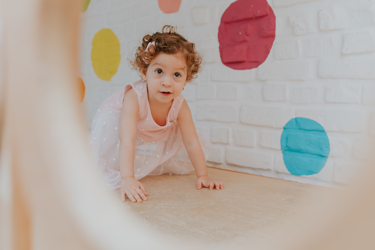fotografa festa infantil fotografia 2 anos Luiza tema balairinha casa de festas o abacateiro Tijuca rj Rio de Janeiro 