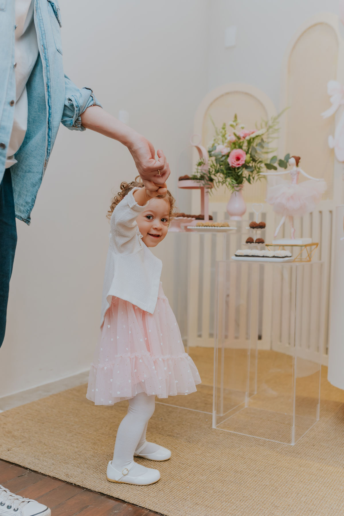 fotografa festa infantil fotografia 2 anos Luiza tema balairinha casa de festas o abacateiro Tijuca rj Rio de Janeiro 