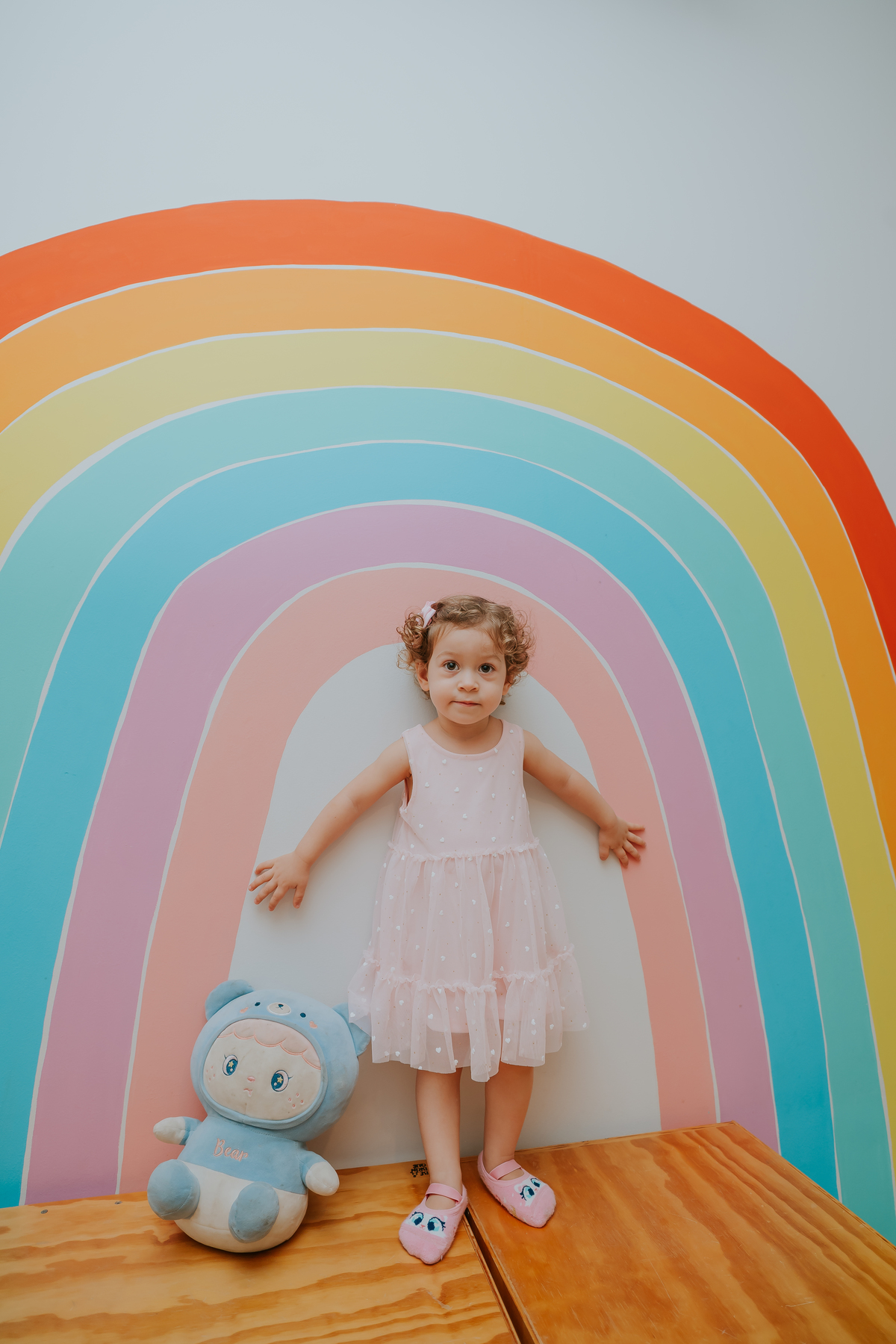 fotografa festa infantil fotografia 2 anos Luiza tema balairinha casa de festas o abacateiro Tijuca rj Rio de Janeiro 