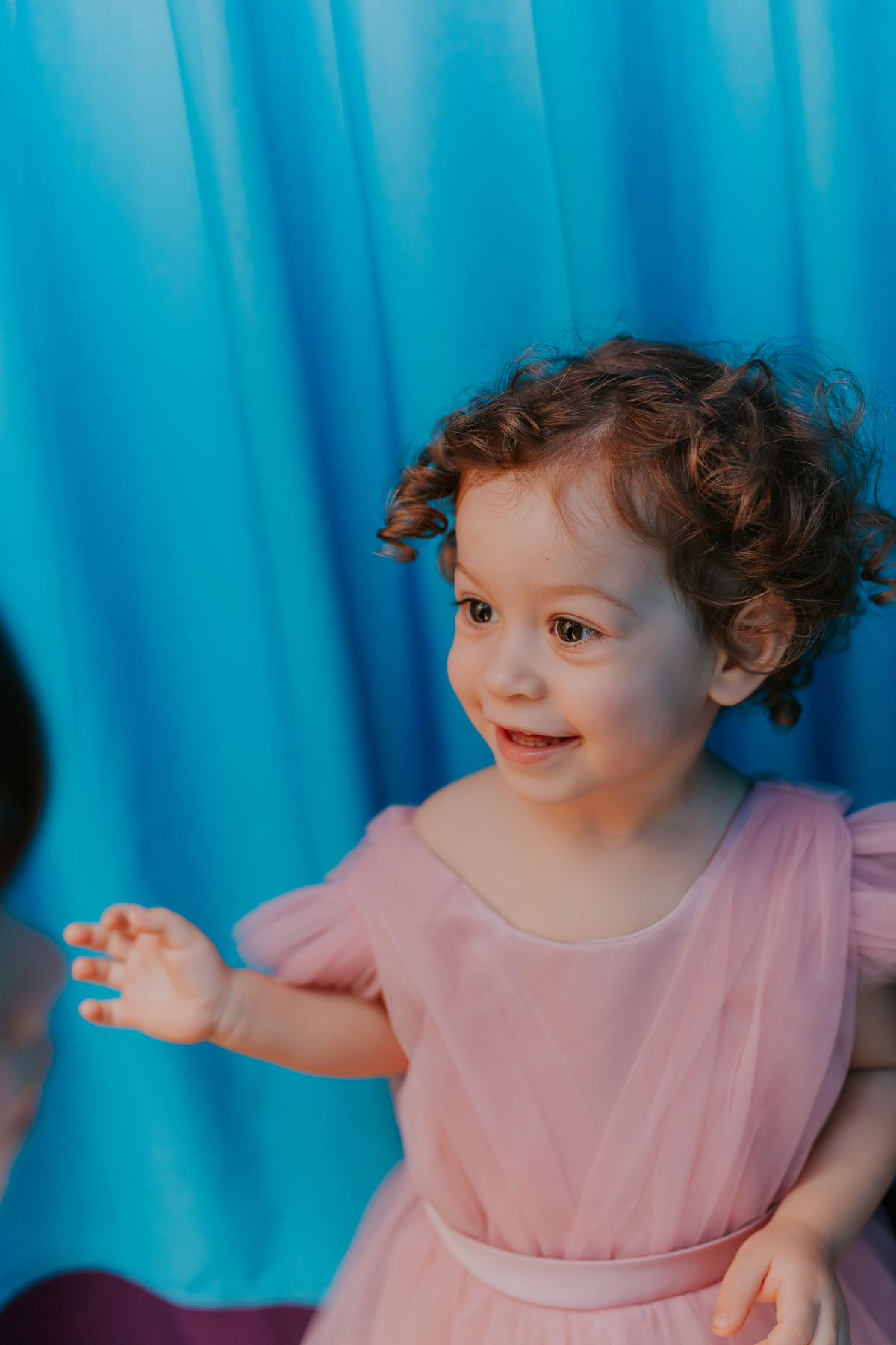 fotografa festa infantil fotografia 2 anos Luiza tema balairinha casa de festas o abacateiro Tijuca rj Rio de Janeiro 
