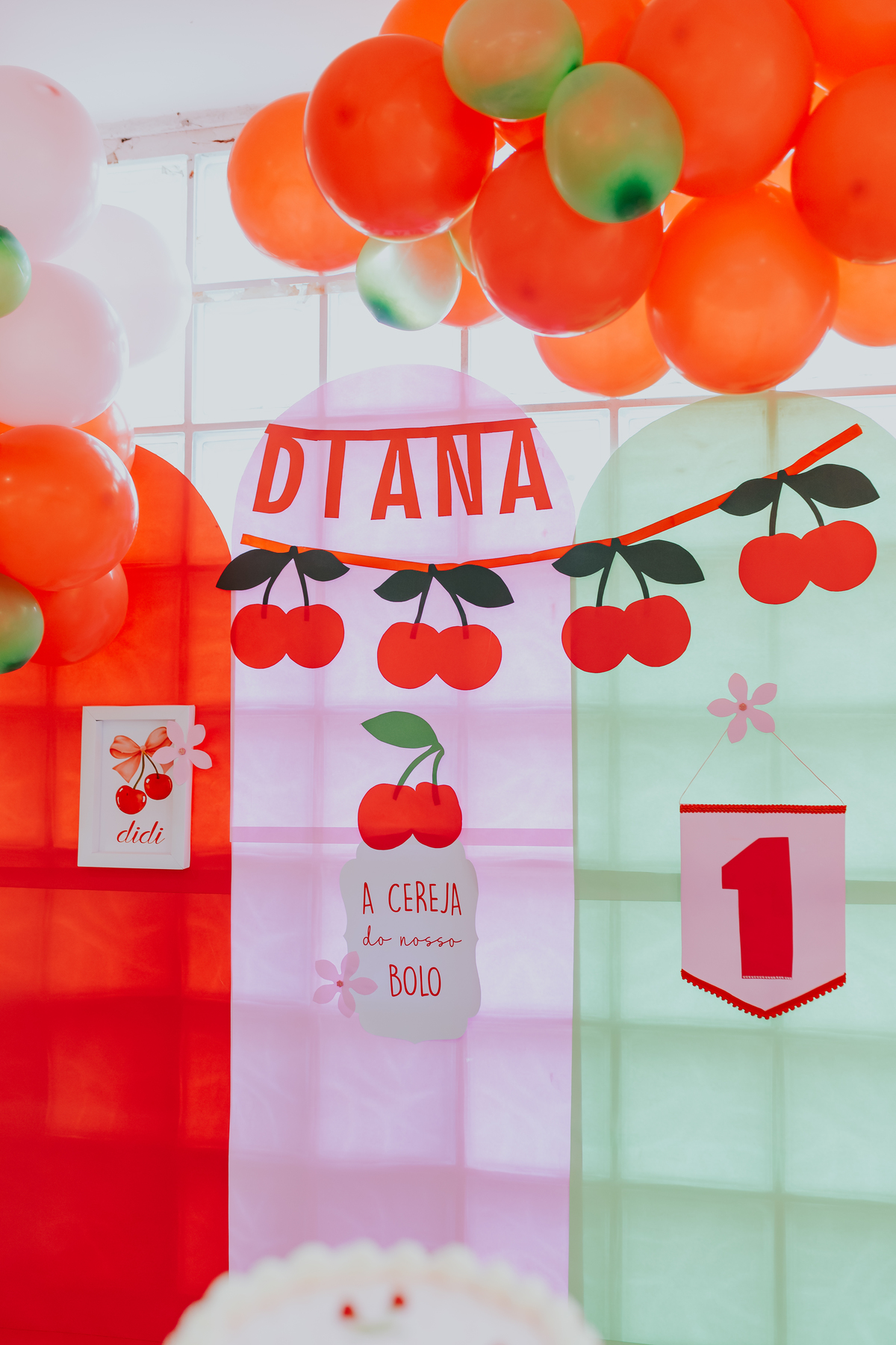 fotografa familia festa infantil fotografia 1 ano diana maria tema cerejinha Río de Janeiro ilha do governador rj 