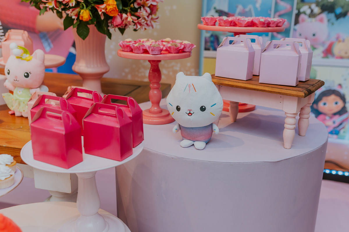 fotografa festa infantil evento rj Rio de Janeiro 6 anos Olivia casa de festas quintal tijuca fotografia tema a casa da gabby 