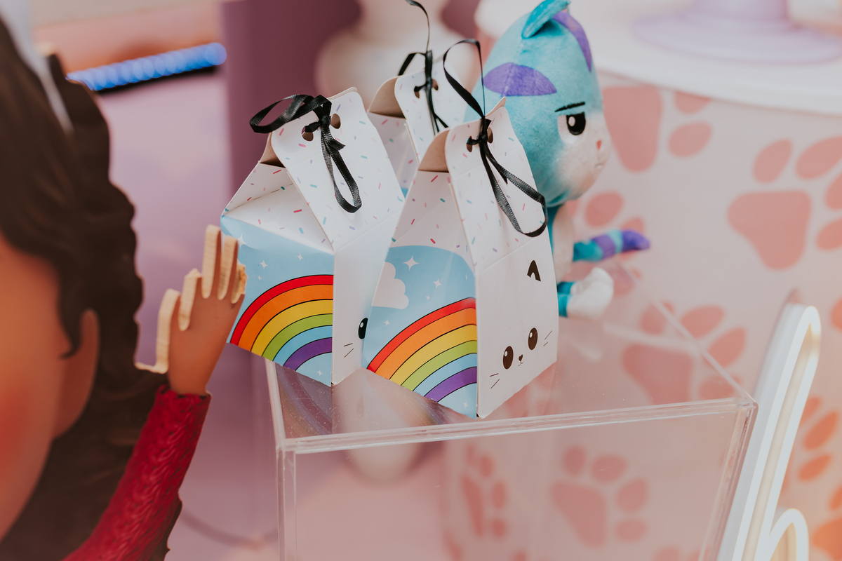 fotografa festa infantil evento rj Rio de Janeiro 6 anos Olivia casa de festas quintal tijuca fotografia tema a casa da gabby 