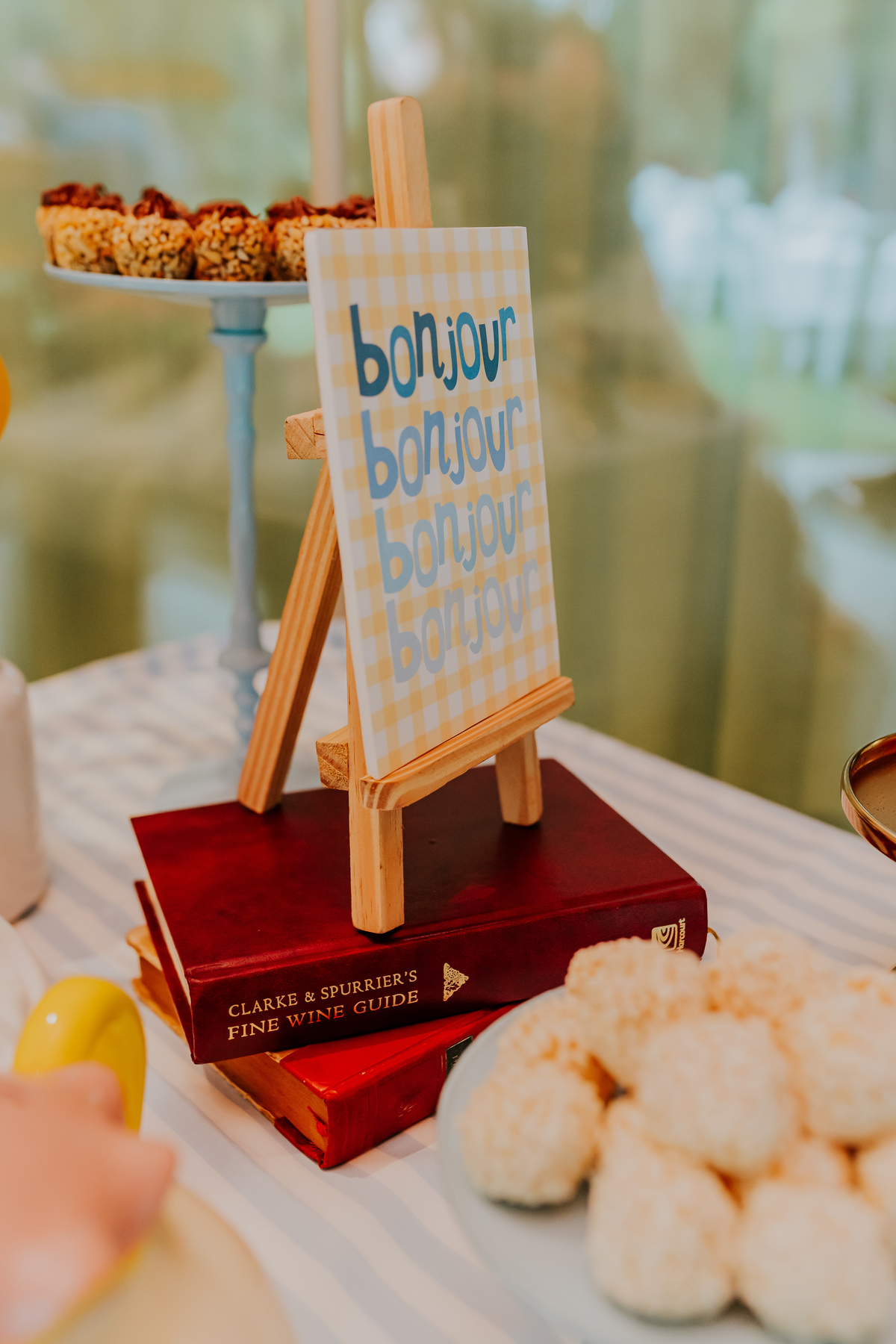 fotografia festa infantil 5 anos mia a bela e a fera barra da Tijuca fotografa de eventos rio de janeiro rj 