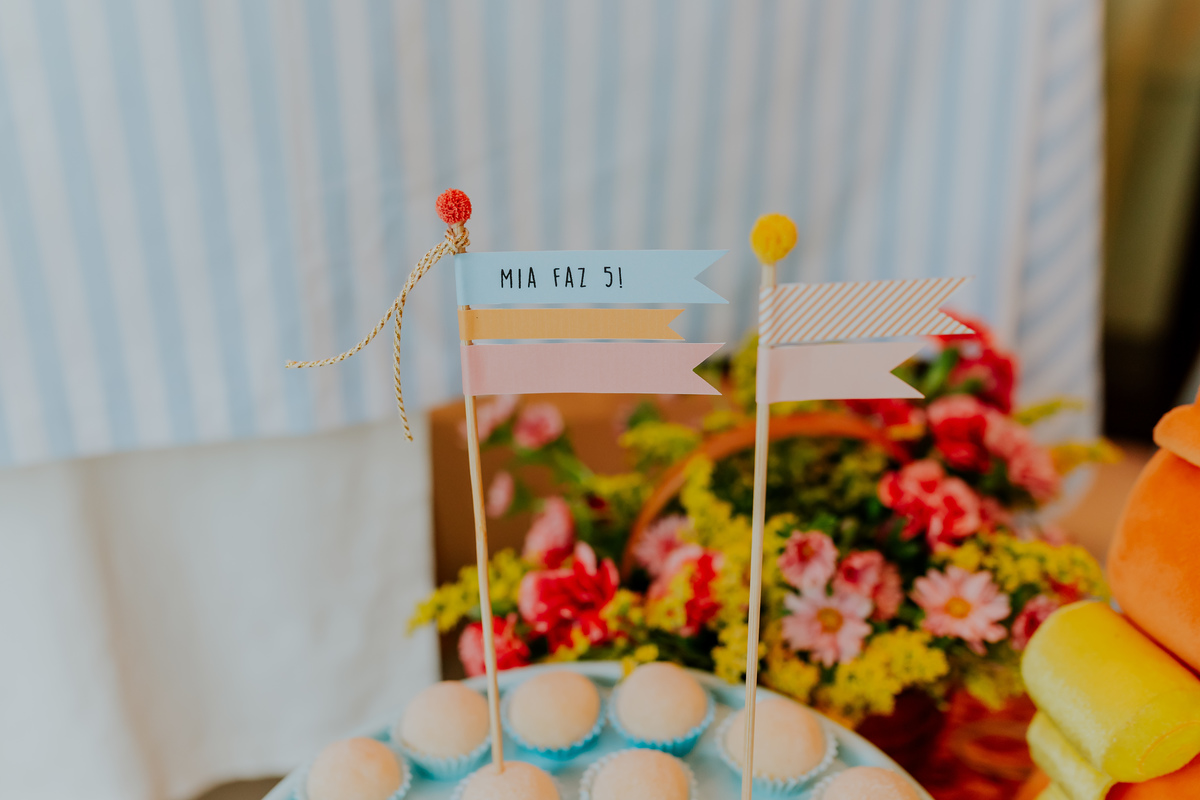 fotografia festa infantil 5 anos mia a bela e a fera barra da Tijuca fotografa de eventos rio de janeiro rj 