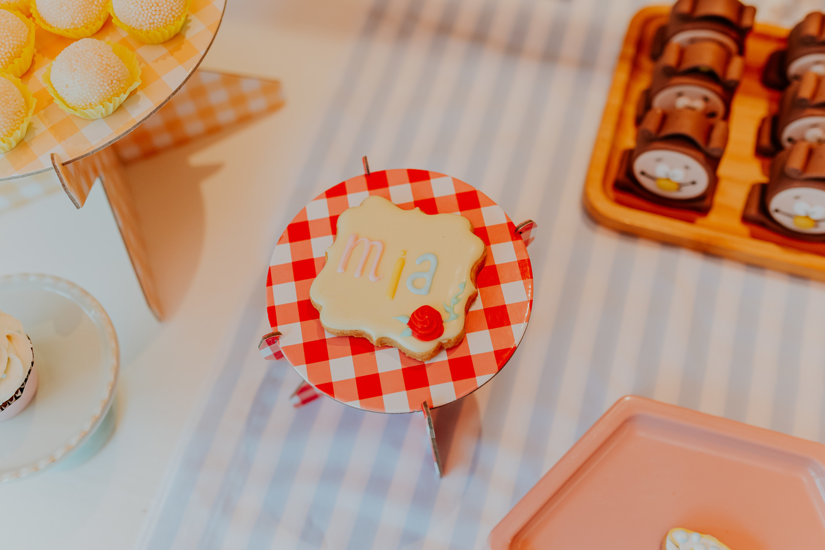 fotografia festa infantil 5 anos mia a bela e a fera barra da Tijuca fotografa de eventos rio de janeiro rj 