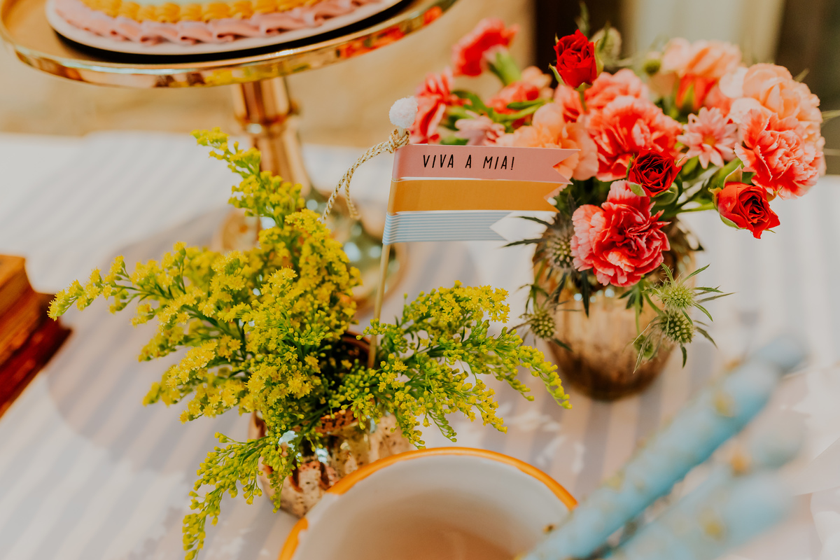 fotografia festa infantil 5 anos mia a bela e a fera barra da Tijuca fotografa de eventos rio de janeiro rj 