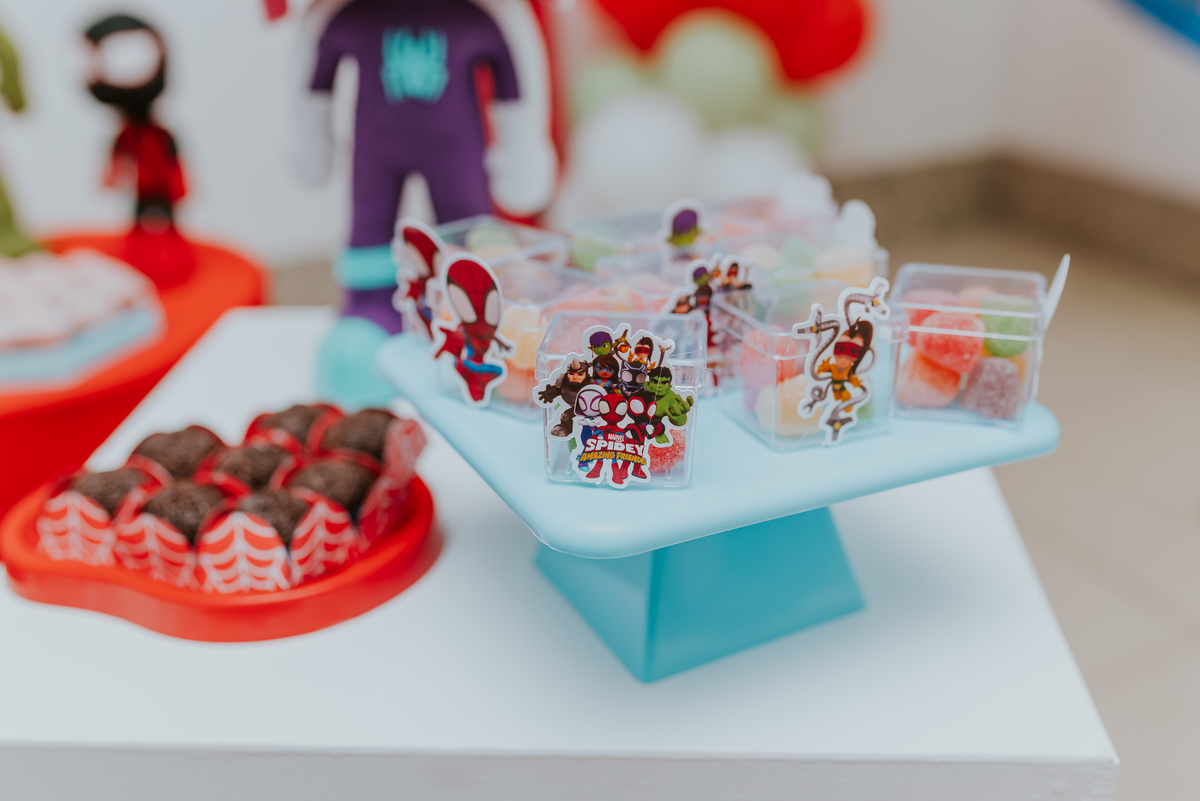 fotografia fotografa rj festa infantil 2 anos Davi tema homem aranha Niterói Icarai Rio de Janeiro familia 