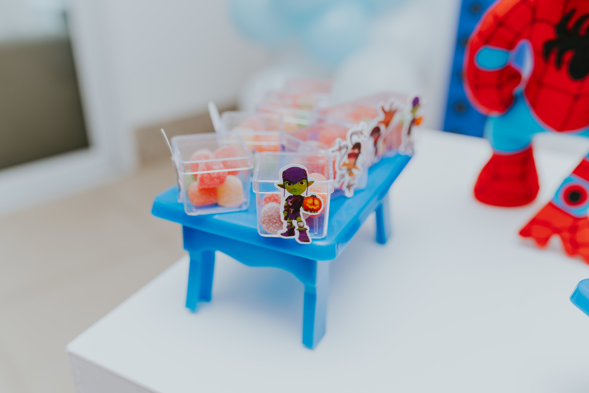 fotografia fotografa rj festa infantil 2 anos Davi tema homem aranha Niterói Icarai Rio de Janeiro familia 