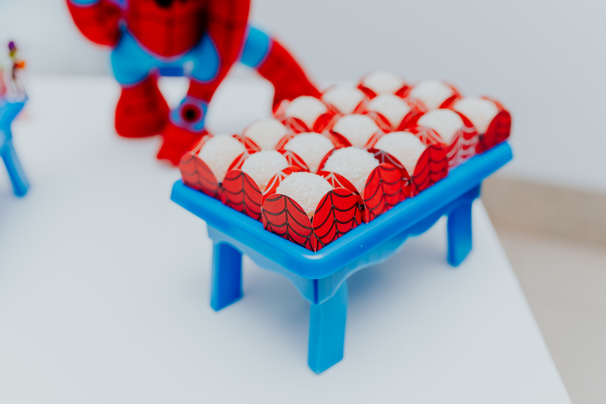 fotografia fotografa rj festa infantil 2 anos Davi tema homem aranha Niterói Icarai Rio de Janeiro familia 