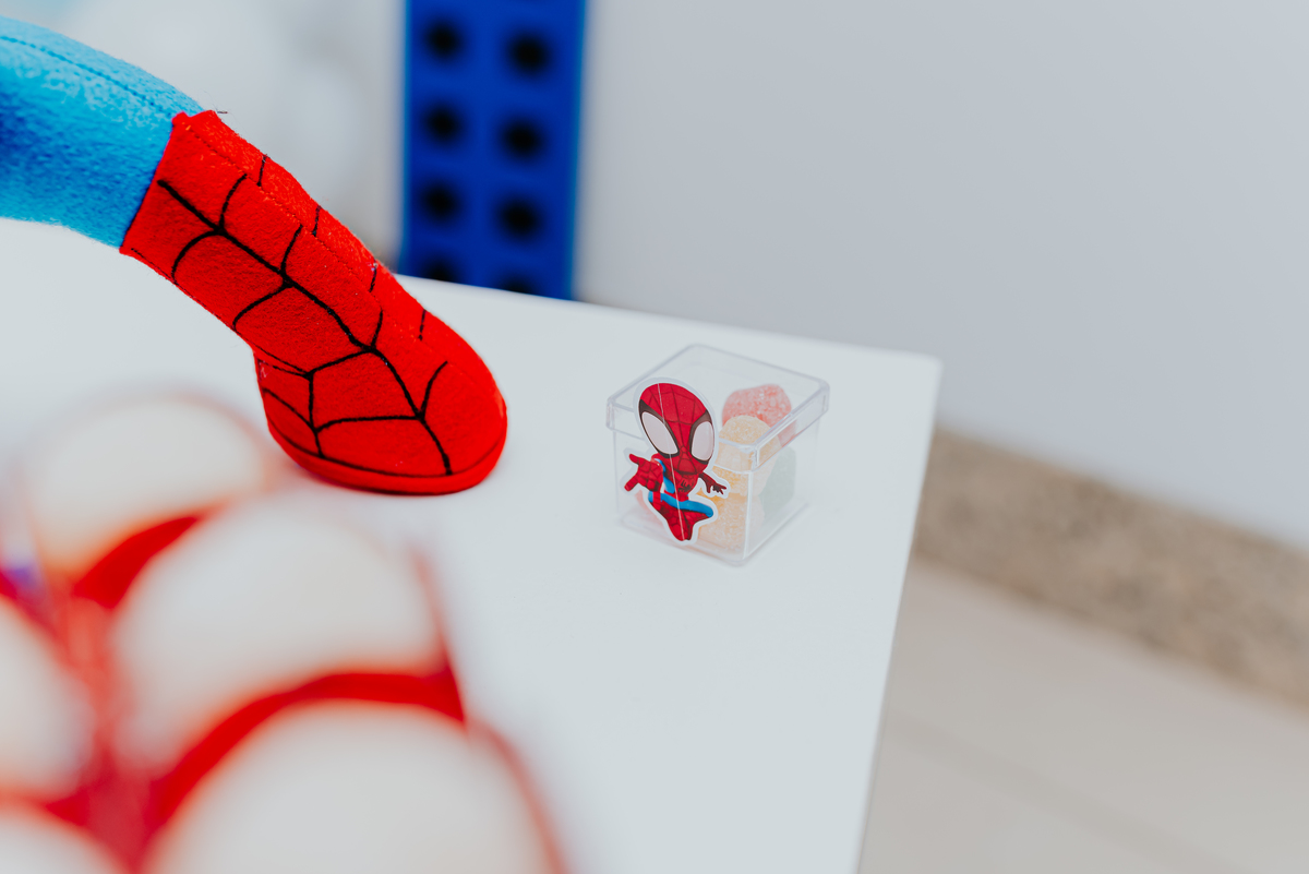 fotografia fotografa rj festa infantil 2 anos Davi tema homem aranha Niterói Icarai Rio de Janeiro familia 