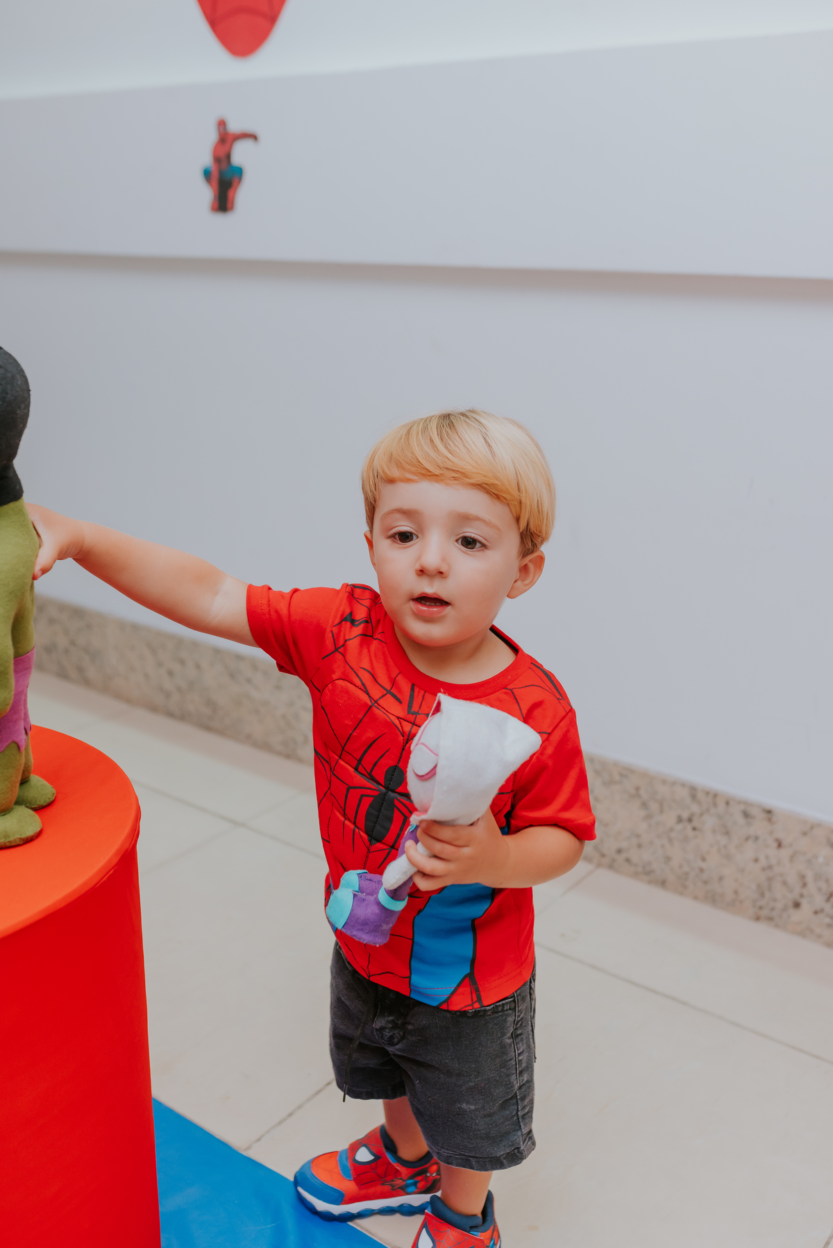 fotografia fotografa rj festa infantil 2 anos Davi tema homem aranha Niterói Icarai Rio de Janeiro familia 