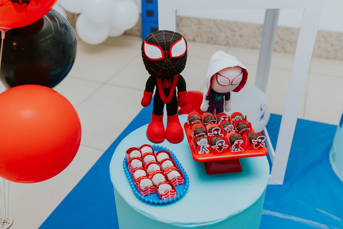 fotografia fotografa rj festa infantil 2 anos Davi tema homem aranha Niterói Icarai Rio de Janeiro familia 