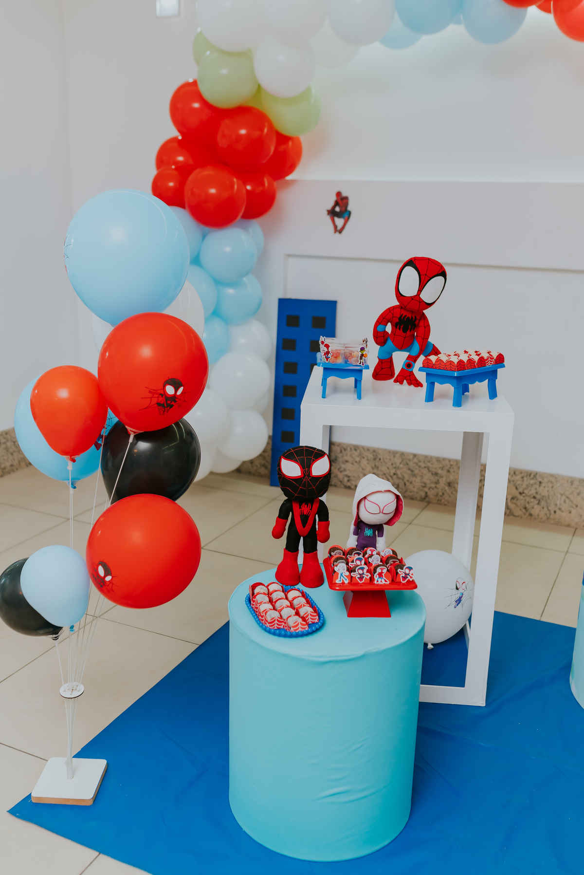 fotografia fotografa rj festa infantil 2 anos Davi tema homem aranha Niterói Icarai Rio de Janeiro familia 
