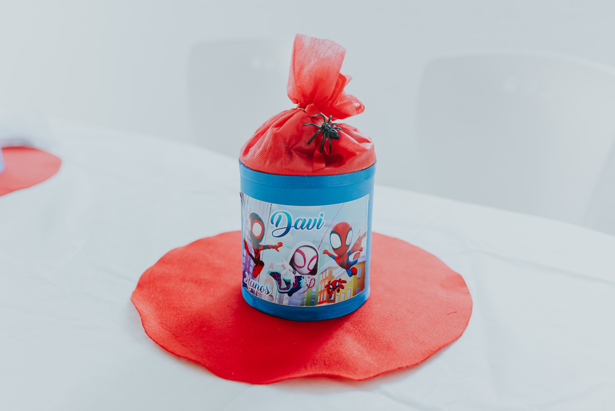 fotografia fotografa rj festa infantil 2 anos Davi tema homem aranha Niterói Icarai Rio de Janeiro familia 