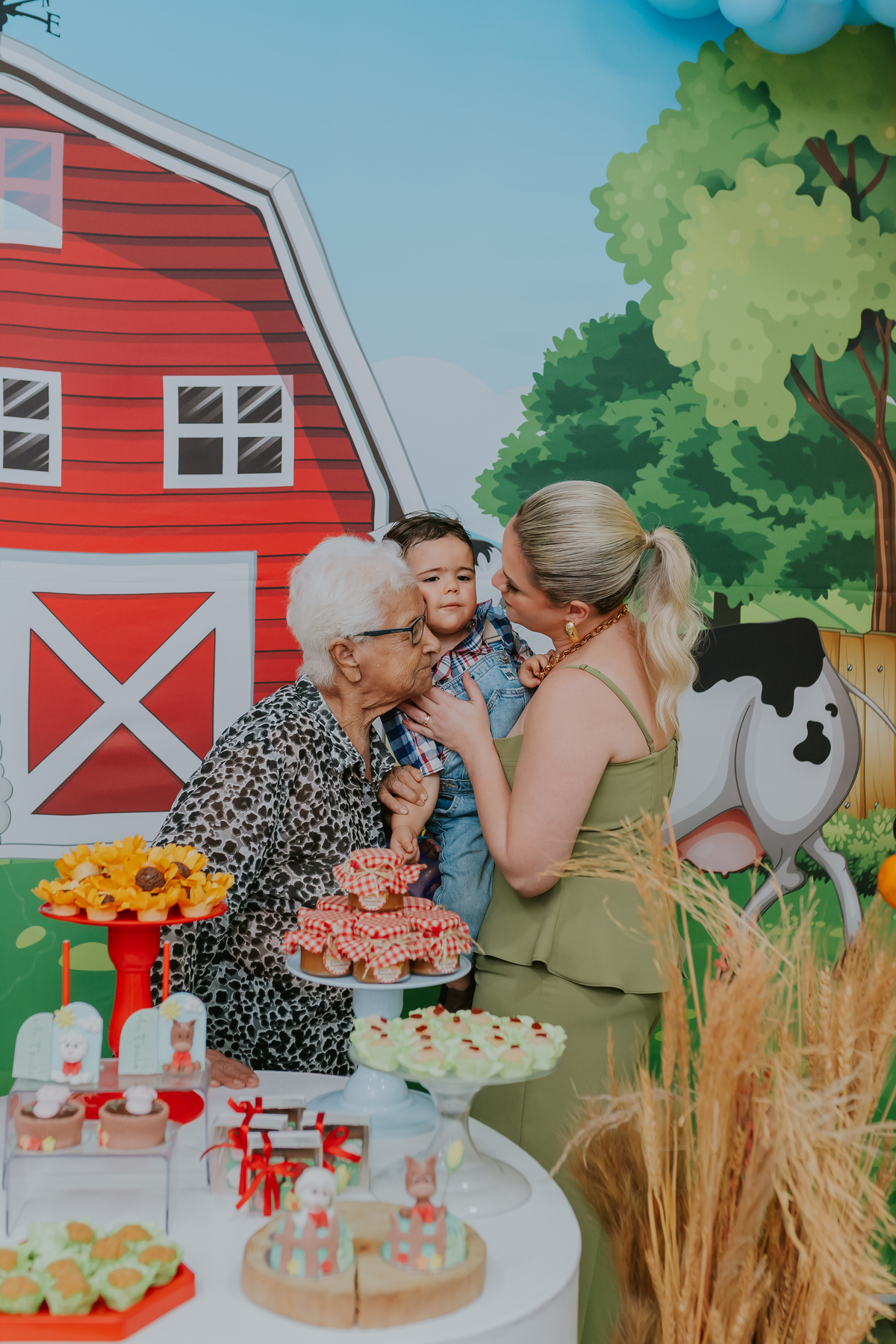 fotografa familia 2 anos Antonio festa infantil tema fazendinha Rio de Janeiro rj fotografia 