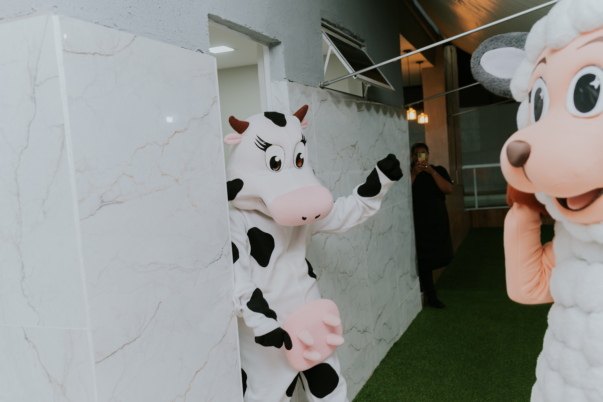fotografa familia 2 anos Antonio festa infantil tema fazendinha Rio de Janeiro rj fotografia 