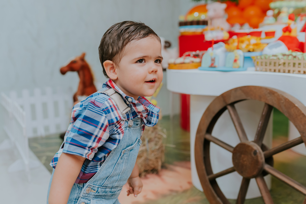 fotografa familia 2 anos Antonio festa infantil tema fazendinha Rio de Janeiro rj fotografia 