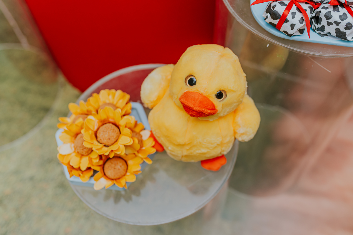 fotografa familia 2 anos Antonio festa infantil tema fazendinha Rio de Janeiro rj fotografia 