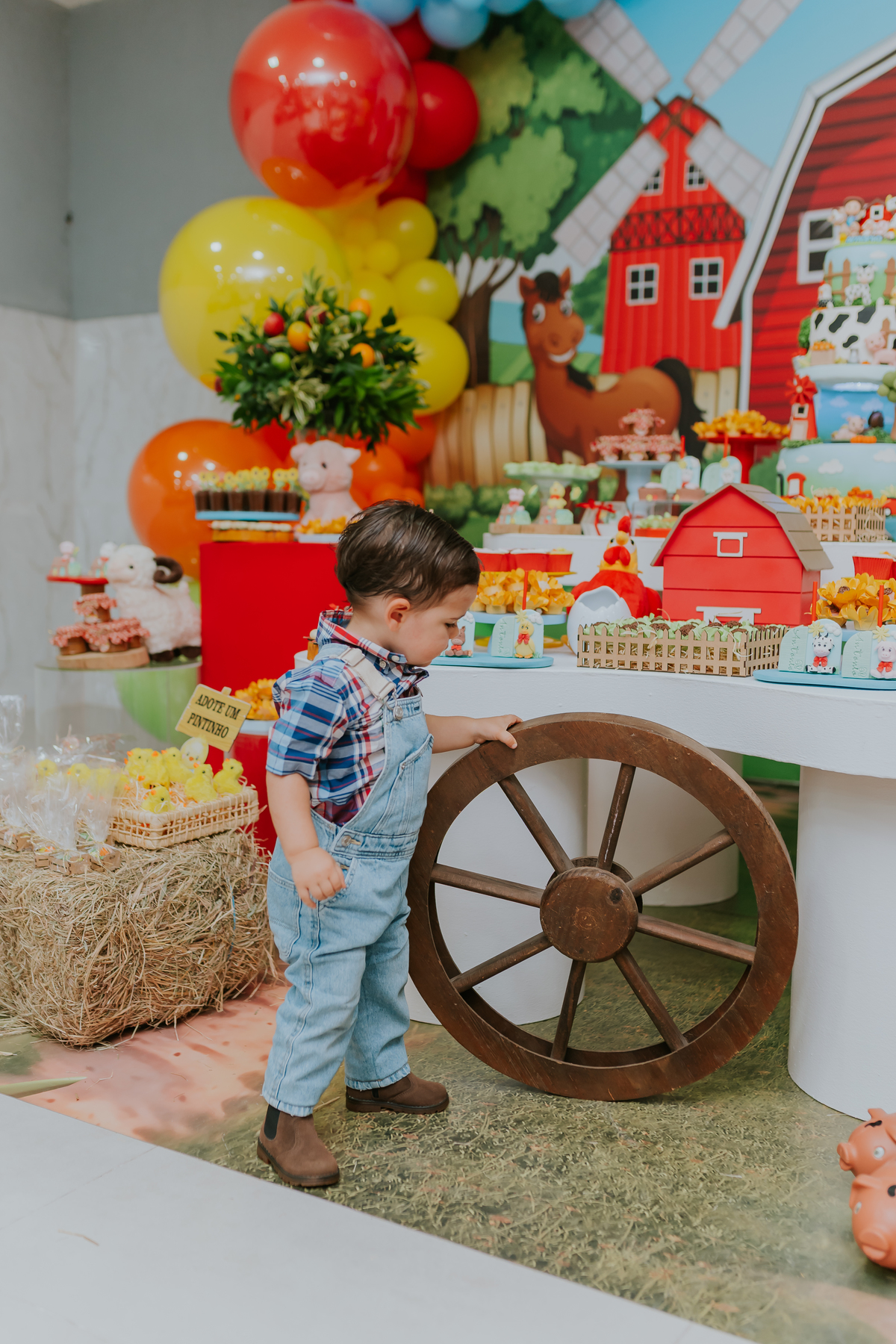 fotografa familia 2 anos Antonio festa infantil tema fazendinha Rio de Janeiro rj fotografia 